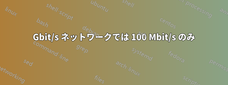 1 Gbit/s ネットワークでは 100 Mbit/s のみ