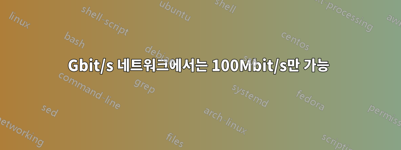 1Gbit/s 네트워크에서는 100Mbit/s만 가능