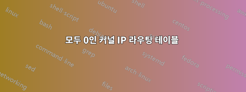 모두 0인 커널 IP 라우팅 테이블