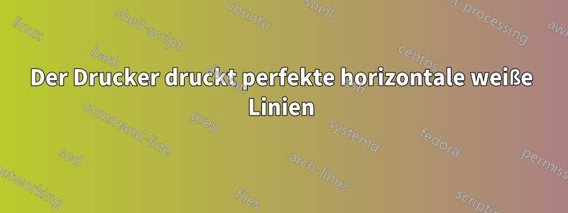 Der Drucker druckt perfekte horizontale weiße Linien