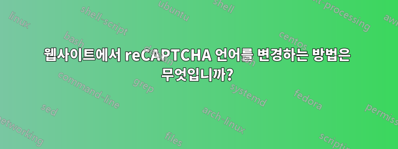 웹사이트에서 reCAPTCHA 언어를 변경하는 방법은 무엇입니까?