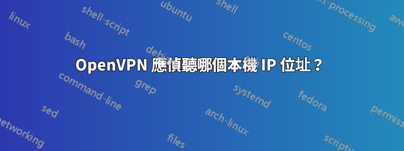 OpenVPN 應偵聽哪個本機 IP 位址？