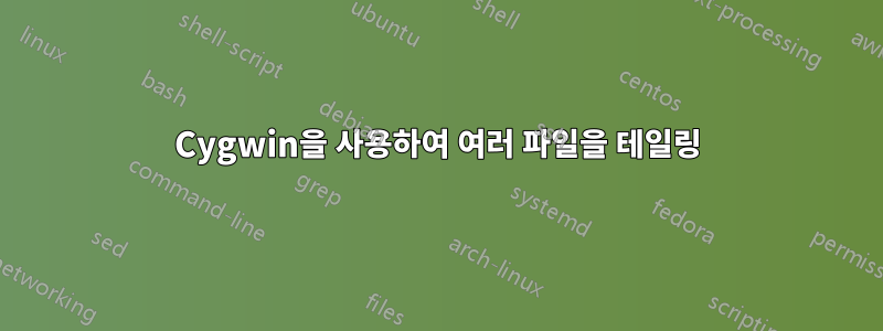 Cygwin을 사용하여 여러 파일을 테일링
