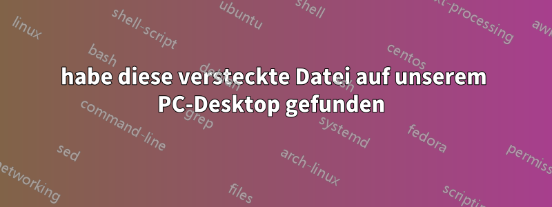 habe diese versteckte Datei auf unserem PC-Desktop gefunden 