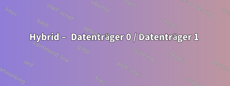 Hybrid – Datenträger 0 / Datenträger 1