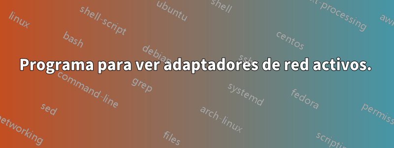 Programa para ver adaptadores de red activos.