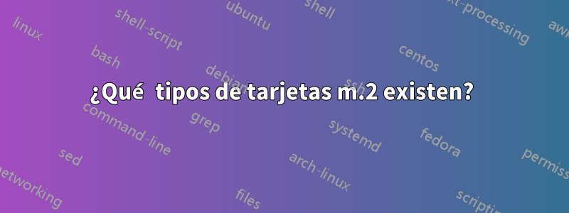 ¿Qué tipos de tarjetas m.2 existen?
