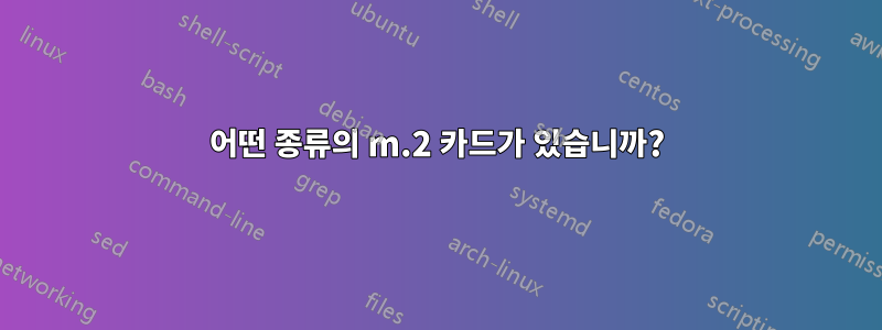 어떤 종류의 m.2 카드가 있습니까?
