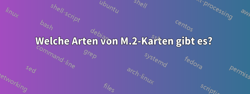 Welche Arten von M.2-Karten gibt es?