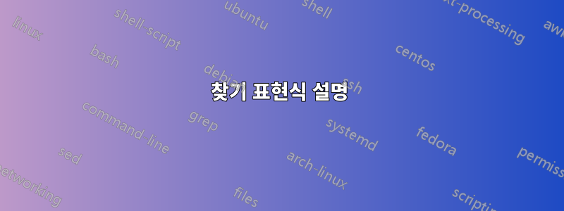찾기 표현식 설명