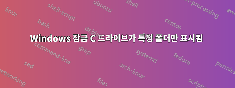 Windows 잠금 C 드라이브가 특정 폴더만 표시됨