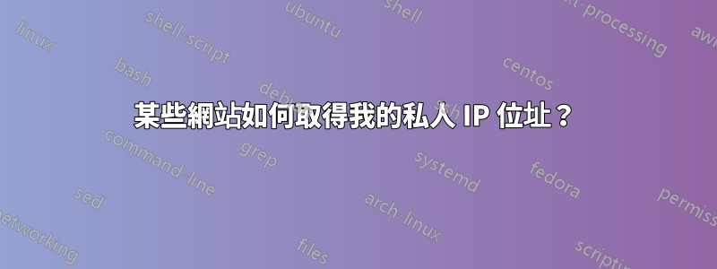 某些網站如何取得我的私人 IP 位址？