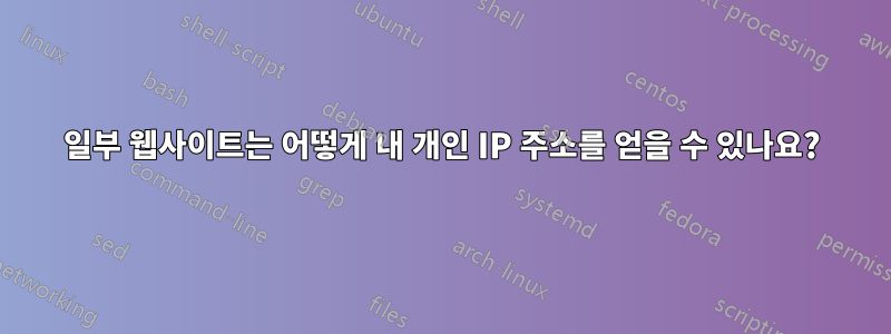 일부 웹사이트는 어떻게 내 개인 IP 주소를 얻을 수 있나요?