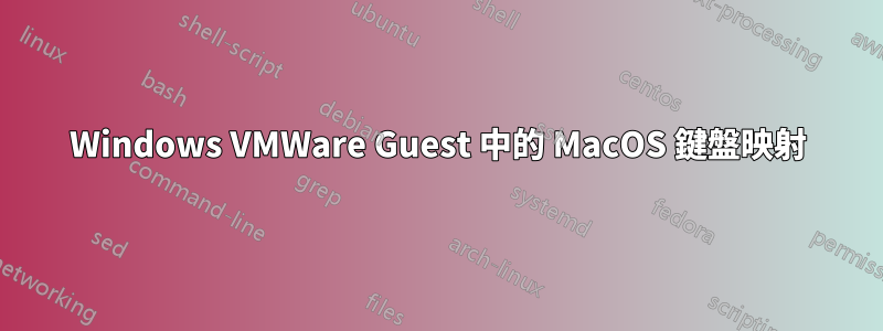Windows VMWare Guest 中的 MacOS 鍵盤映射