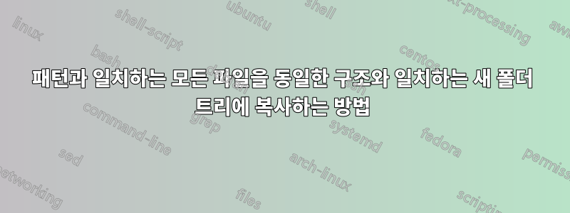 패턴과 일치하는 모든 파일을 동일한 구조와 일치하는 새 폴더 트리에 복사하는 방법