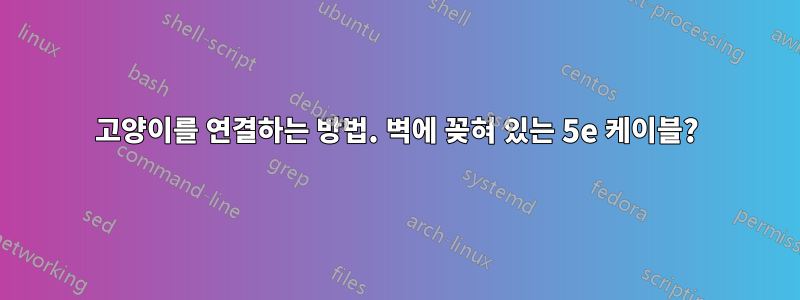 고양이를 연결하는 방법. 벽에 꽂혀 있는 5e 케이블?