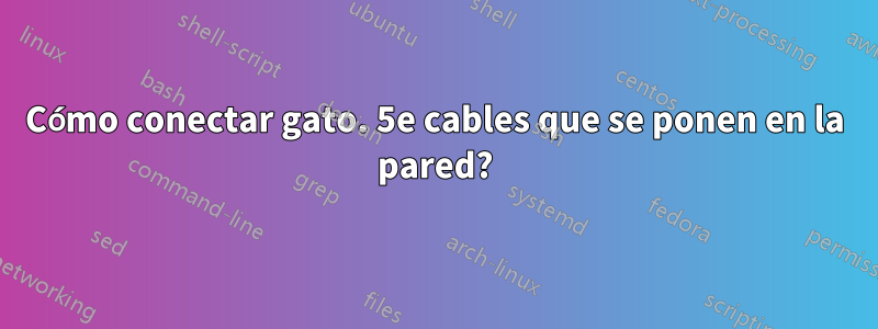 Cómo conectar gato. 5e cables que se ponen en la pared?