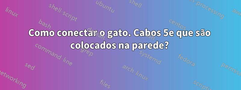 Como conectar o gato. Cabos 5e que são colocados na parede?