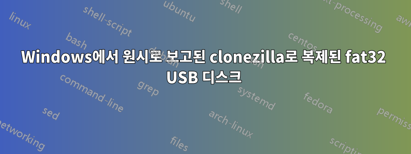 Windows에서 원시로 보고된 clonezilla로 복제된 fat32 USB 디스크