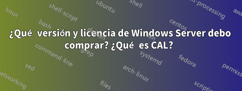 ¿Qué versión y licencia de Windows Server debo comprar? ¿Qué es CAL? 