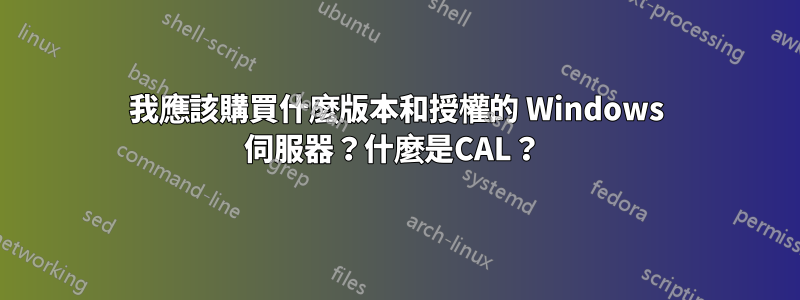 我應該購買什麼版本和授權的 Windows 伺服器？什麼是CAL？ 