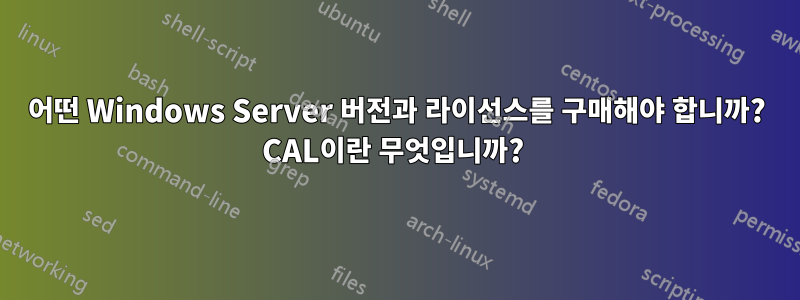 어떤 Windows Server 버전과 라이선스를 구매해야 합니까? CAL이란 무엇입니까? 