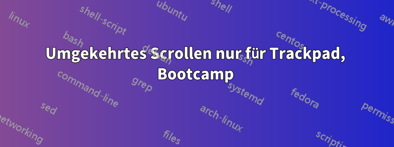 Umgekehrtes Scrollen nur für Trackpad, Bootcamp