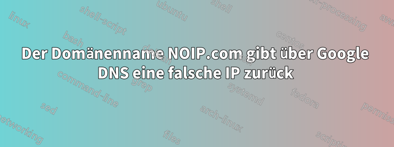 Der Domänenname NOIP.com gibt über Google DNS eine falsche IP zurück