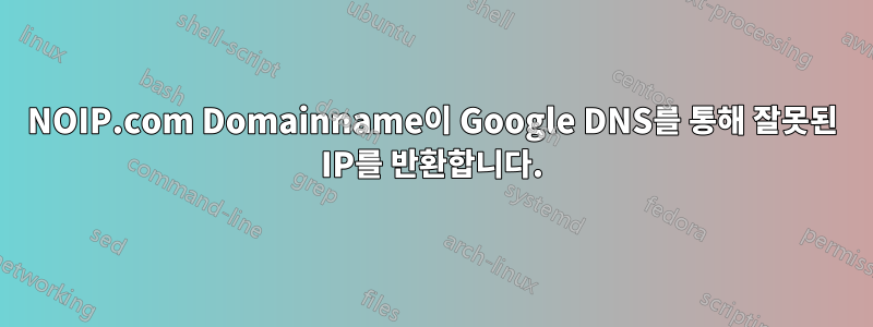 NOIP.com Domainname이 Google DNS를 통해 잘못된 IP를 반환합니다.