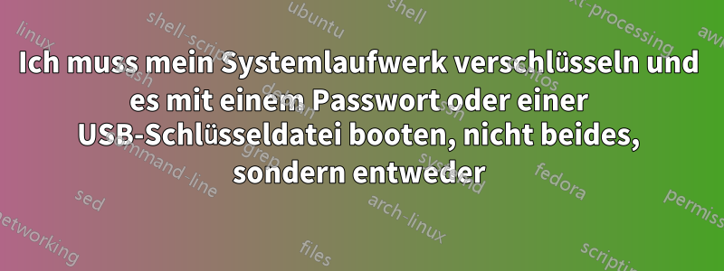 Ich muss mein Systemlaufwerk verschlüsseln und es mit einem Passwort oder einer USB-Schlüsseldatei booten, nicht beides, sondern entweder