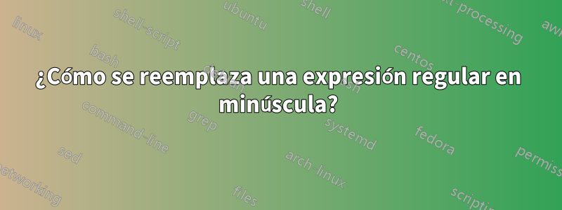 ¿Cómo se reemplaza una expresión regular en minúscula?