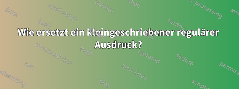 Wie ersetzt ein kleingeschriebener regulärer Ausdruck?
