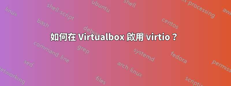 如何在 Virtualbox 啟用 virtio？