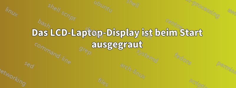 Das LCD-Laptop-Display ist beim Start ausgegraut