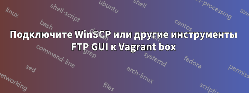 Подключите WinSCP или другие инструменты FTP GUI к Vagrant box