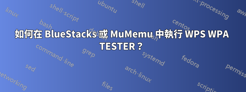 如何在 BlueStacks 或 MuMemu 中執行 WPS WPA TESTER？