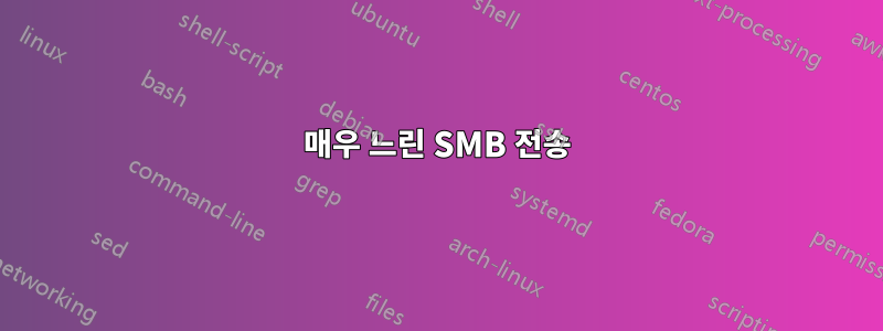 매우 느린 SMB 전송