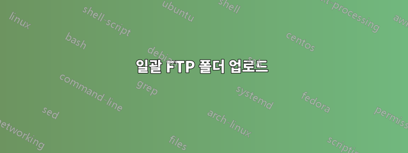 일괄 FTP 폴더 업로드