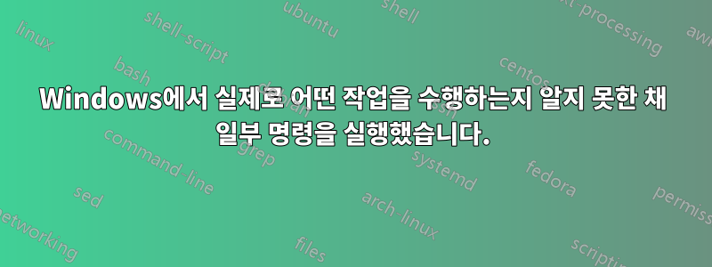 Windows에서 실제로 어떤 작업을 수행하는지 알지 못한 채 일부 명령을 실행했습니다.