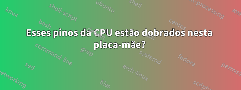 Esses pinos da CPU estão dobrados nesta placa-mãe?