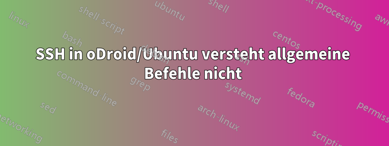 SSH in oDroid/Ubuntu versteht allgemeine Befehle nicht