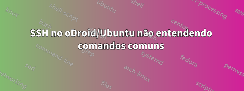 SSH no oDroid/Ubuntu não entendendo comandos comuns