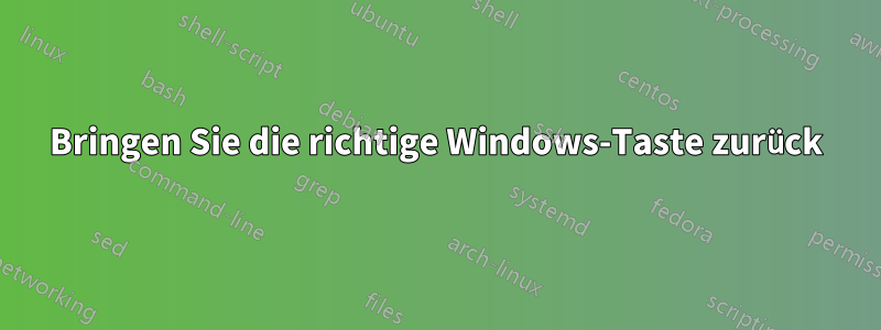 Bringen Sie die richtige Windows-Taste zurück