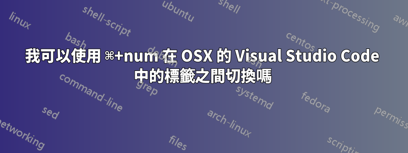 我可以使用 ⌘+num 在 OSX 的 Visual Studio Code 中的標籤之間切換嗎