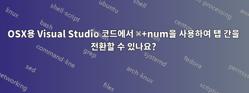 OSX용 Visual Studio 코드에서 ⌘+num을 사용하여 탭 간을 전환할 수 있나요?