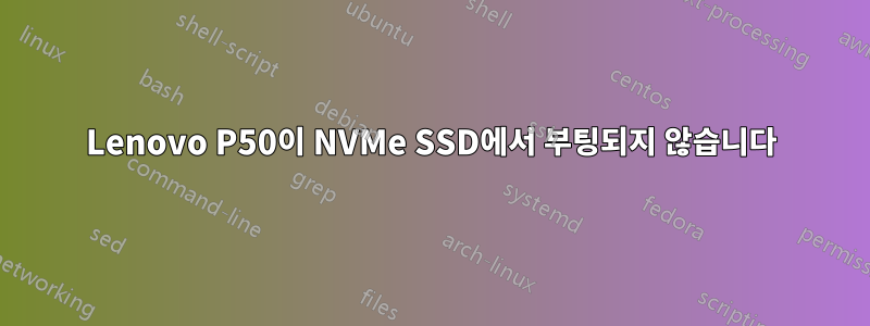 Lenovo P50이 NVMe SSD에서 부팅되지 않습니다