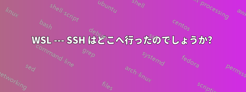 WSL --- SSH はどこへ行ったのでしょうか?