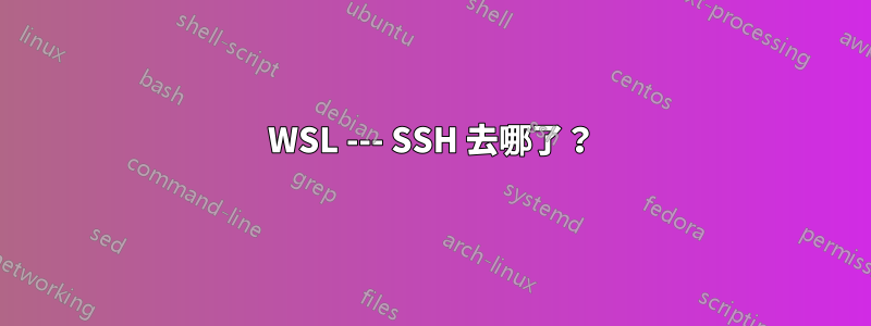 WSL --- SSH 去哪了？