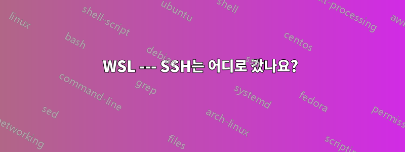 WSL --- SSH는 어디로 갔나요?