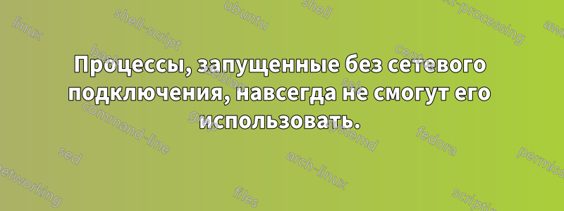 Процессы, запущенные без сетевого подключения, навсегда не смогут его использовать.